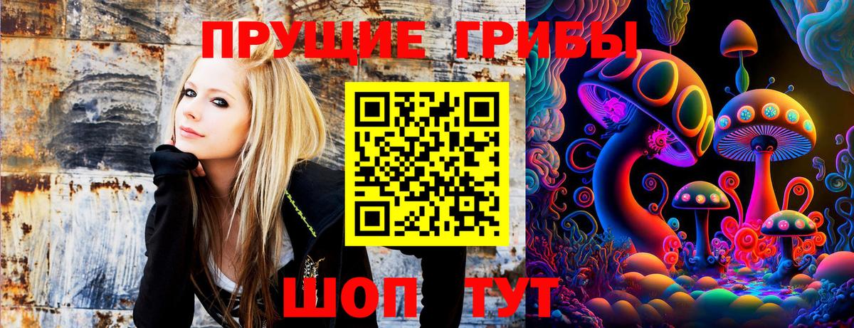 Псилоцибиновые грибы GOLDEN TEACHER Назарово