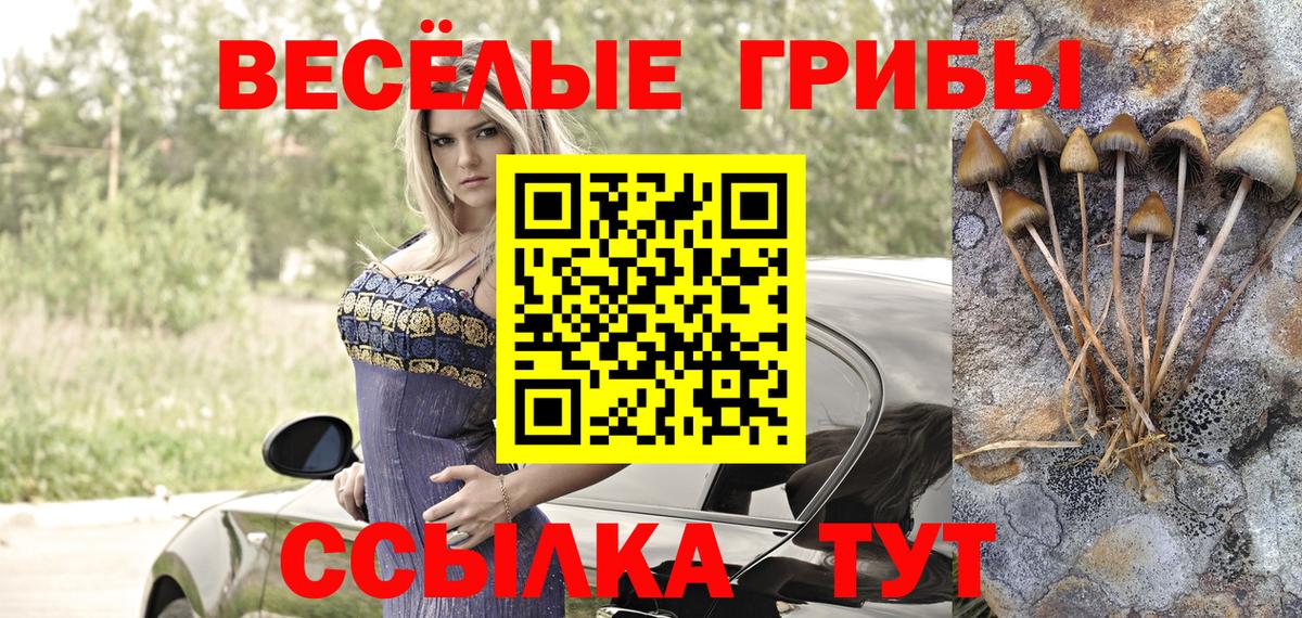 Назарово  купить наркотики сайты  Вход с VPN  Галлюциногенные грибы прущие грибы 