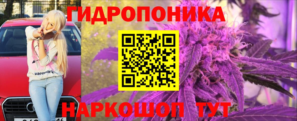 Бошки марихуана ГИДРОПОН  Вход с VPN  Канабис конопля  Назарово 